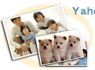 Yahoo!用照片制作相片簿！
