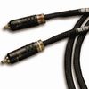 RCA�����֥�
