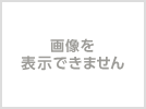 新品フラカンの日本武道館/フラワーカンパニーズ（初回限定盤）