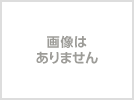 Q列/1枚 奥田民生2015年ツアー秋コレ 11/21(土) 本多の森ホール