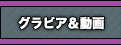 ����ӥ���ư��