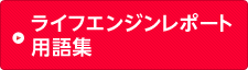ライフエンジンレポート用語集