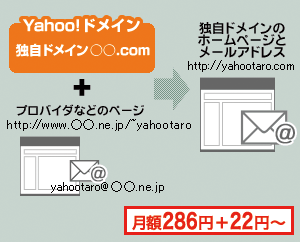 お持ちのホームページを独自ドメインで表示する - 図
