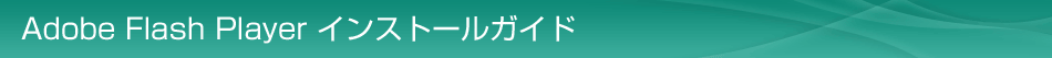 Adobe Flash Player ���󥹥ȡ��륬����