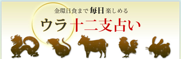 ��������ޤ������ڤ���롡���齽����ꤤ