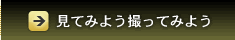 ���Ƥߤ褦���äƤߤ褦