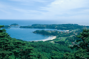 大島の写真