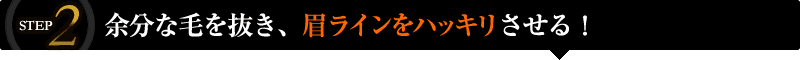 STEP2��;ʬ���Ӥ�ȴ�������饤���ϥå��ꤵ���롪