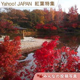 愛 地球博記念公園 モリコロパーク 愛知県の紅葉スポット 紅葉特集201 まだ間に合う 2011 東海地区の紅葉 もみじ狩り情報 D Naver まとめ