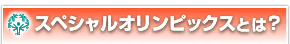 ���ڥ���륪���ԥå����Ȥϡ�