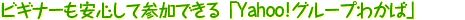 �ӥ��ʡ���¿����ƻ��äǤ����Yahoo!���롼�פ狼�С�