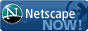 �ǿ���Netscape������������