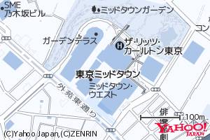 ブルー図式の地図