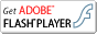 GetADOBE FLASH PLAYER