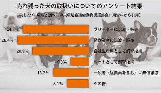 売れ残り動物の取扱い