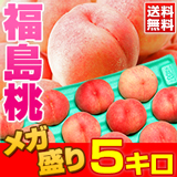訳あり福島桃メガ盛 5キロ送料無料