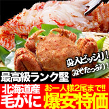 北海道毛ガニ 最高級ランクサイズ
