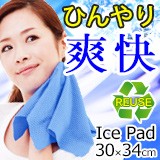 ひんやりタオル アイスパッド S