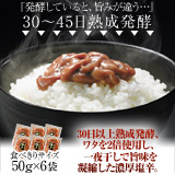 熟成発酵濃厚塩辛50g×6袋 送料無料