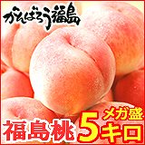 訳あり福島桃メガ盛5キロ送料無料