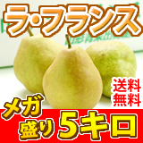 訳ありラフランス5キロ送料無料