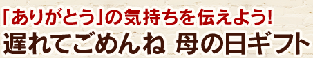 「ありがとう」の気持ちを伝えよう！遅れてごめんね 母の日ギフト