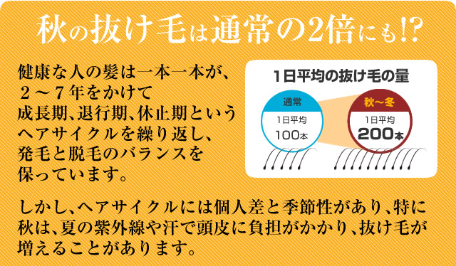 髪の毛もまつ毛も今こそ抜け毛対策 秋のヘアケア特集