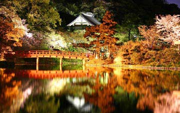 三溪園　観桜の夕べ