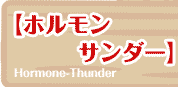 【ホルモンサンダー】  Hormone-Thunder 