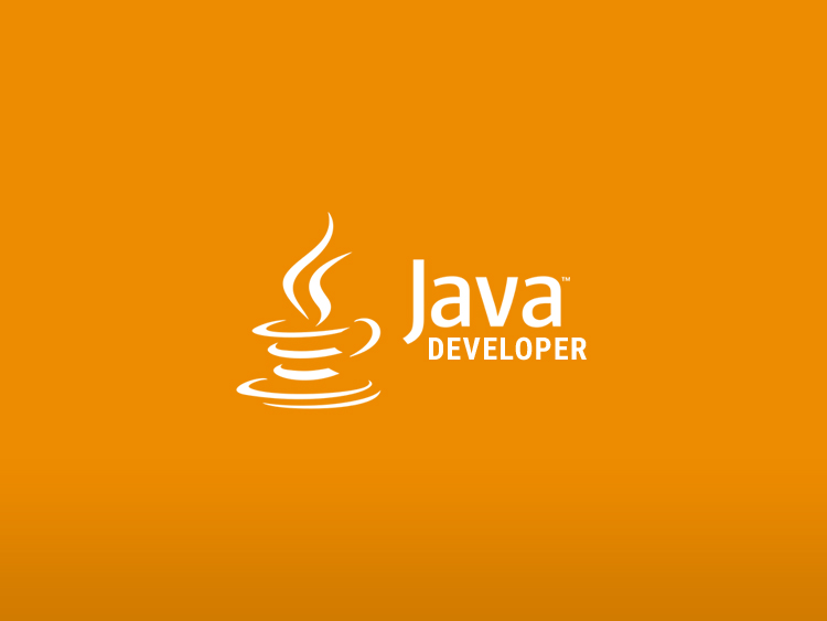 Junior Java Developer